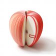 Custom apple shaped sticky notes